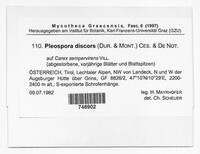 Image of Pleospora discors